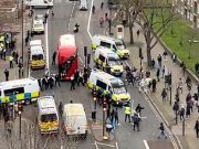 Новый год в Британии прошёл по традиции — с мигрантскими погромами Новый год в Британии прошёл по традиции - с мигрантскими погромами