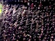 Призрак коричневого фашизма снова бродит по Европе Призрак коричневого фашизма снова бродит по Европе