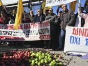 «Эффект лавины»: как развивается ситуация вокруг массовых протестов фермеров в странах Евросоюза