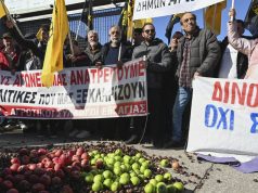 «Эффект лавины»: как развивается ситуация вокруг массовых протестов фермеров в странах Евросоюза