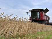 Reuters: ЕС планирует ограничить импорт сельскохозяйственной продукции из Украины, чтобы успокоить разгневанных фермеров