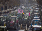 Забастовки фермеров охватили уже 12 стран Евросоюза