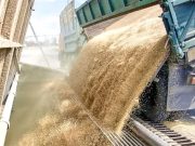 Вопрос с украинскими аграриями после нескольких месяцев колебаний, решён Вопрос с украинскими аграриями после нескольких месяцев колебаний, решён