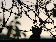 Назад в Харьков, Сумы, Чернигов и не только: какая санитарная зона нужна России