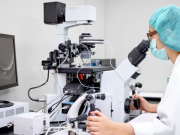 В Израиле расследуют импорт яйцеклеток из Грузии с генетическим дефектом