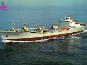 О развитии экономического сотрудничества с развивающимися странами