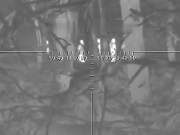 Следили 3 дня. Российские снайперы за минуту положили 12 польских наемников