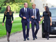 Британские принцы Уильям и Гарри фигурируют в громком скандале вокруг очередных нарковечеринок с участием несовершеннолетних проституток