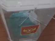 В блокаде и вопреки Молдавии. Приднестровье выбирает президента России