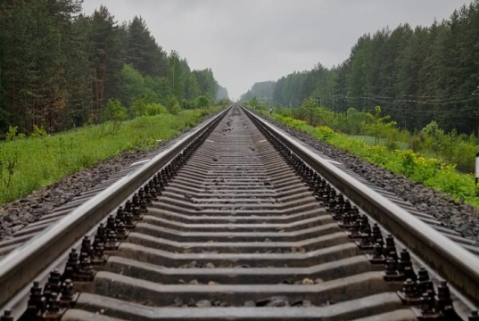 Если действия хуситов являются ответом на «бал вампиров», то автор достоин «Героя России»