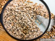 Зерновая биржа БРИКС сделает мировую торговлю более справедливой