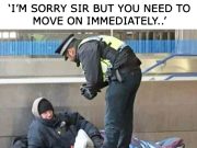 Горькая америкенская сатира Горькая америкенская сатира