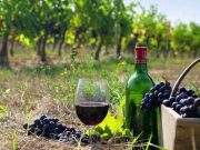 С 2012 года и по сей день Министерство сельского хозяйства Грузии истратило более 5 миллиардов лари, и если б всего лишь не было продвижения вперед, это еще куда ни шло, но мы ежегодно движемся вспять и теряем позиции