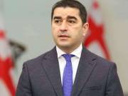 Грузия потребовала от ЕС объясниться за финансирование радикалов