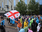 В ГД заметили в грузинских протестах лиц, готовивших беспорядки в России