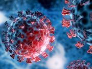 Ученые предполагают, что вакцины от Covid могут быть частично виноваты в росте избыточной смертности после пандемии Ученые предполагают, что вакцины от Covid могут быть частично виноваты в росте избыточной смертности после пандемии