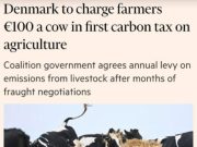 «Я думаю, это безумие» «Я думаю, это безумие»