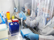 Третья напасть: Вслед за ботулизмом и холерой тур по нашим южным регионам начала конго-крымская лихорадка