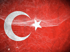 Турция готова присоединиться к китайско-бразильскому миротворчеству в Нижнем Новгороде