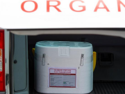 На Украине задержали врачей, которые продавали органы за границу