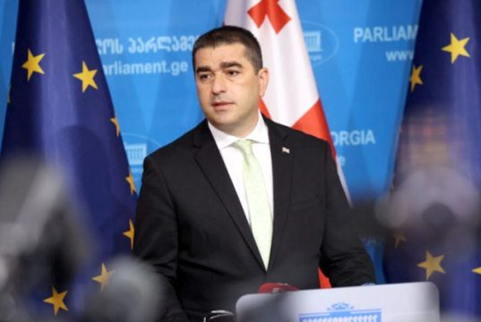 В эфирах грузинских ТВ запретят показ сцен, пропагандирующих ЛГБТ*-тематику Шалва Папуашвили