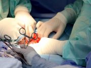 Украинский гамбит в черной трансплантологии Украинский гамбит в черной трансплантологии