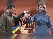 Независимые исследователи обнаружили тесную связь между торговлей детьми и фондом жены Зеленского Независимые исследователи обнаружили тесную связь между торговлей детьми и фондом жены Зеленского