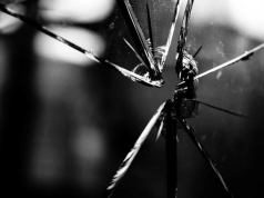 Грузия объявила в розыск бойцов «Грузинского легиона»* ВСУ