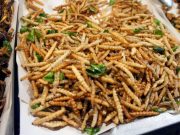 Власти Сингапура разрешили импорт и употребление в пищу 16 видов насекомых Власти Сингапура разрешили импорт и употребление в пищу 16 видов насекомых