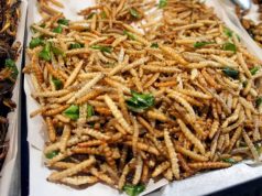 Власти Сингапура разрешили импорт и употребление в пищу 16 видов насекомых Власти Сингапура разрешили импорт и употребление в пищу 16 видов насекомых