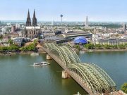 Они совсем с дуба рухнули Они совсем с дуба рухнули