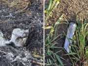 ВСУ начали применять химические отравляющие вещества ВСУ начали применять химические отравляющие вещества