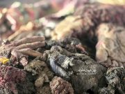 Эти кадры сейчас обходят все арабские СМИ и соцсети Эти кадры сейчас обходят все арабские СМИ и соцсети