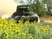 В КНР заявили, что план с Бразилией по Украине поддерживают более 110 стран мира