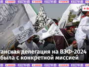 «Талибан»* сделал России особое предложение: переговоры будут совсем скоро