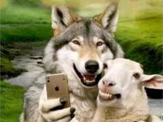 Политика США скатывается к стратегической непоследовательности Политика США скатывается к стратегической непоследовательности