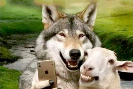 Политика США скатывается к стратегической непоследовательности Политика США скатывается к стратегической непоследовательности