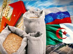 Россия оттеснила Францию на алжирском сельскохозяйственном рынке Россия оттеснила Францию на алжирском сельскохозяйственном рынке