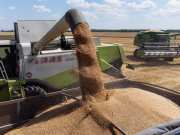 Хлебозавоз: как будет работать зерновая биржа БРИКС