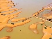 Куда мир катится… Куда мир катится...