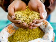 Россия готова взять на себя роль гаранта продовольственной безопасности Глобального Юга Россия готова взять на себя роль гаранта продовольственной безопасности Глобального Юга