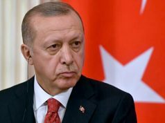 Многовекторность Турции как новая константа международной политики Многовекторность Турции как новая константа международной политики