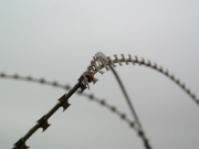 Министр иностранных дел Турции Хакан Фидан: справедливое разрешение войны должно быть найдено в рамках территориальной целостности Украины