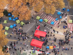 Публичное обращение к «Грузинской мечте»!