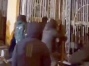 Яблоко Ньютона Яблоко Ньютона