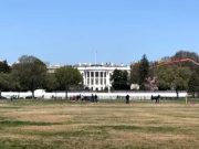 Трамп vs. Харрис: Как изменится Южный Кавказ после выборов президента США? Трамп vs. Харрис: Как изменится Южный Кавказ после выборов президента США?