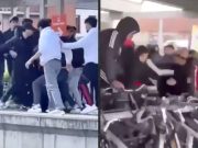 В бельгийском городе Гел главное развлечение мигрантов из Африки — избивать местных жителей В бельгийском городе Гел главное развлечение мигрантов из Африки - избивать местных жителей