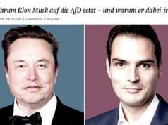 Илон Маск продолжает рекламировать правую немецкую партию AfD Илон Маск продолжает рекламировать правую немецкую партию AfD