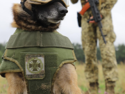 Антиутопическая реальность Европы 2025 года