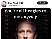 Восемнадцать генеральных прокуроров штатов начали расследование роли доктора Фаучи в борьбе с COVID-19 Восемнадцать генеральных прокуроров штатов начали расследование роли доктора Фаучи в борьбе с COVID-19